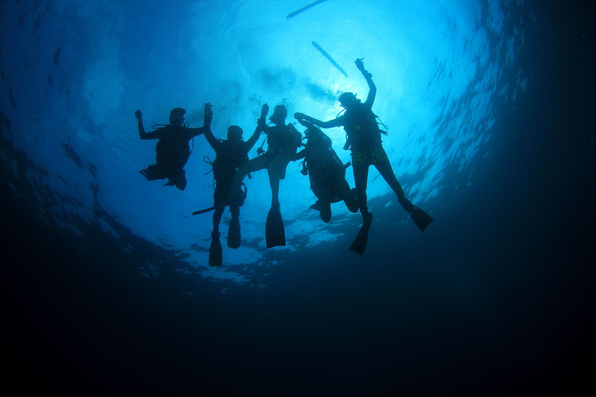 Scuba diving - group of divers silhouette underwater